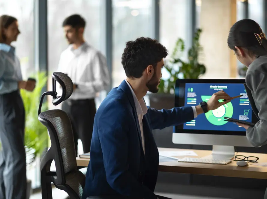 IT consultant providing ERP implementation support to a business team.